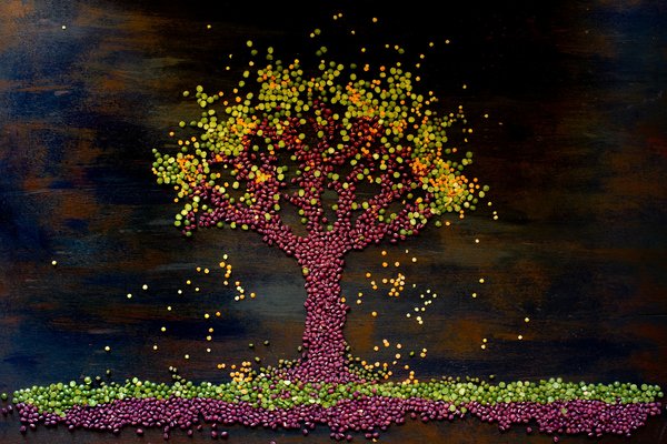 Quelles techniques pour installer un mur végétal auto-arrosé dans une cuisine ?